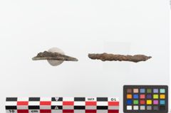 Foto von Bronzering (NHMW-PRAE-023888)